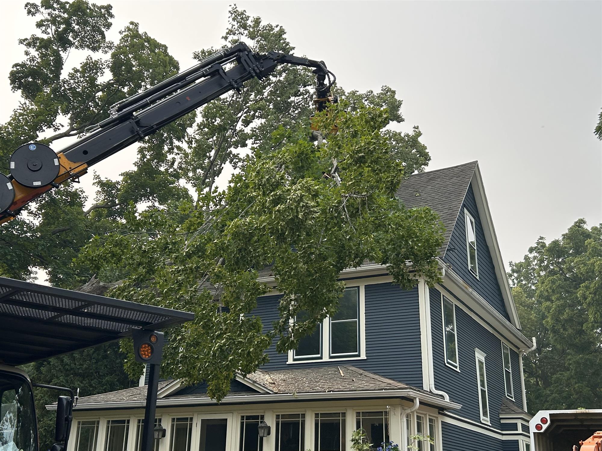 Premier tree removal in Brown Deer