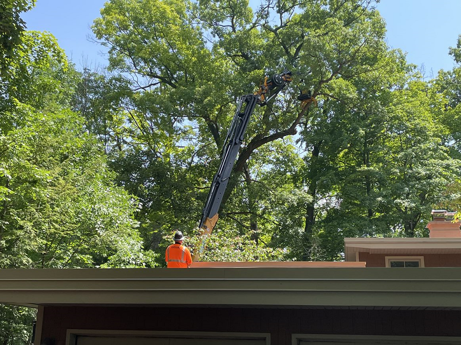 Ashippun, WI tree removal & land clearing