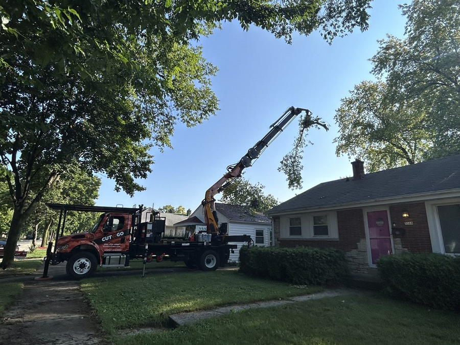 Greendale, WI tree removal & lot clearing