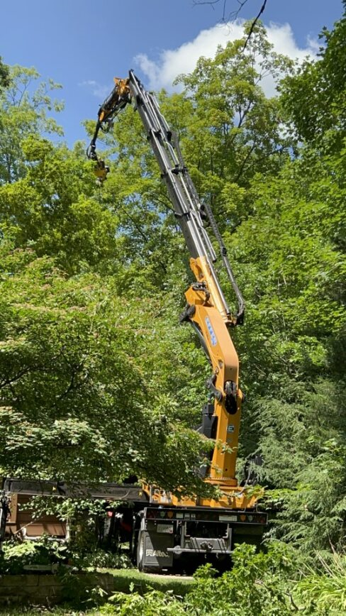 Holland, WI tree removal, land clearing & utility line clearance