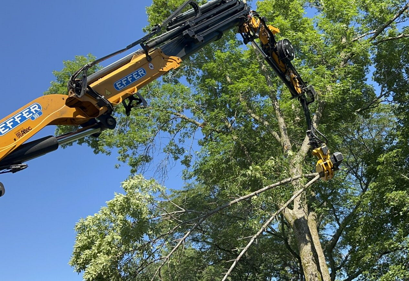 Horicon, WI tree removal & land clearing