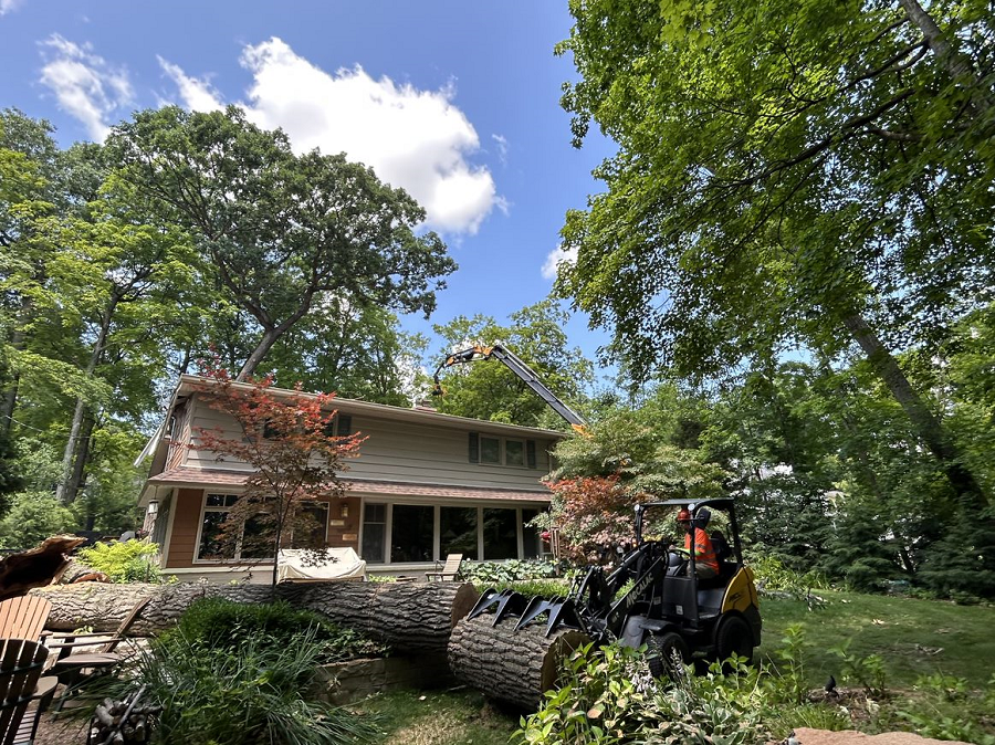 Howards Grove, WI tree removal & land clearing