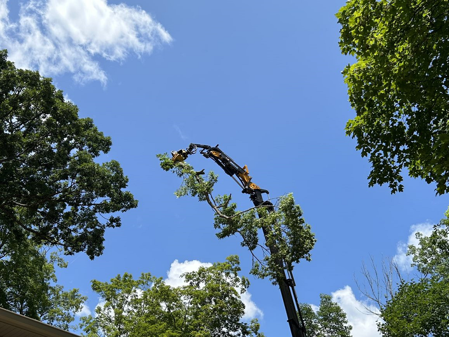 Stone Bank Tree Services