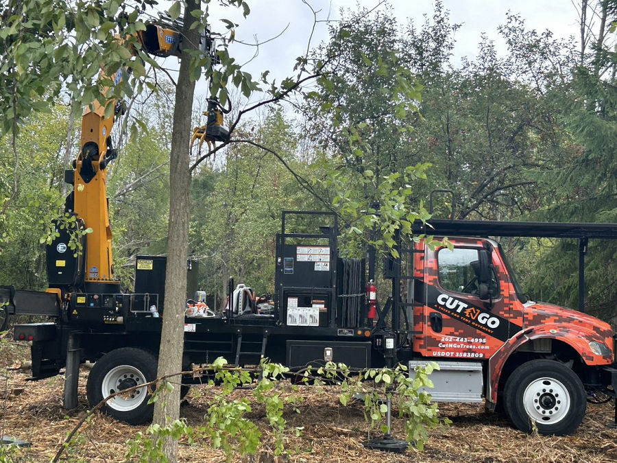 Pewaukee, WI tree removal & stump grinding