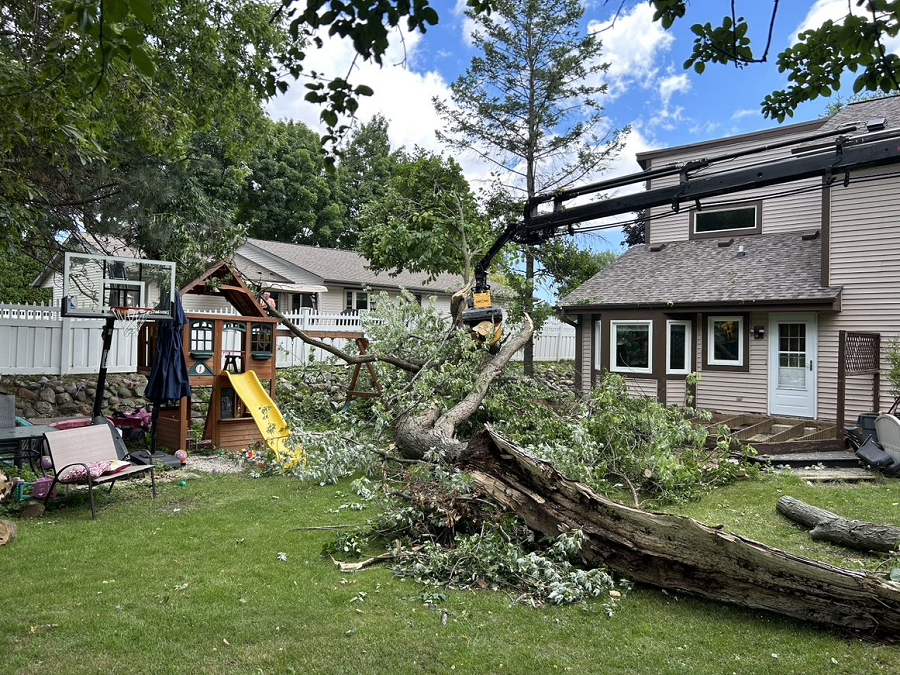 Verona, WI tree removal, lot clearing & utility line clearance