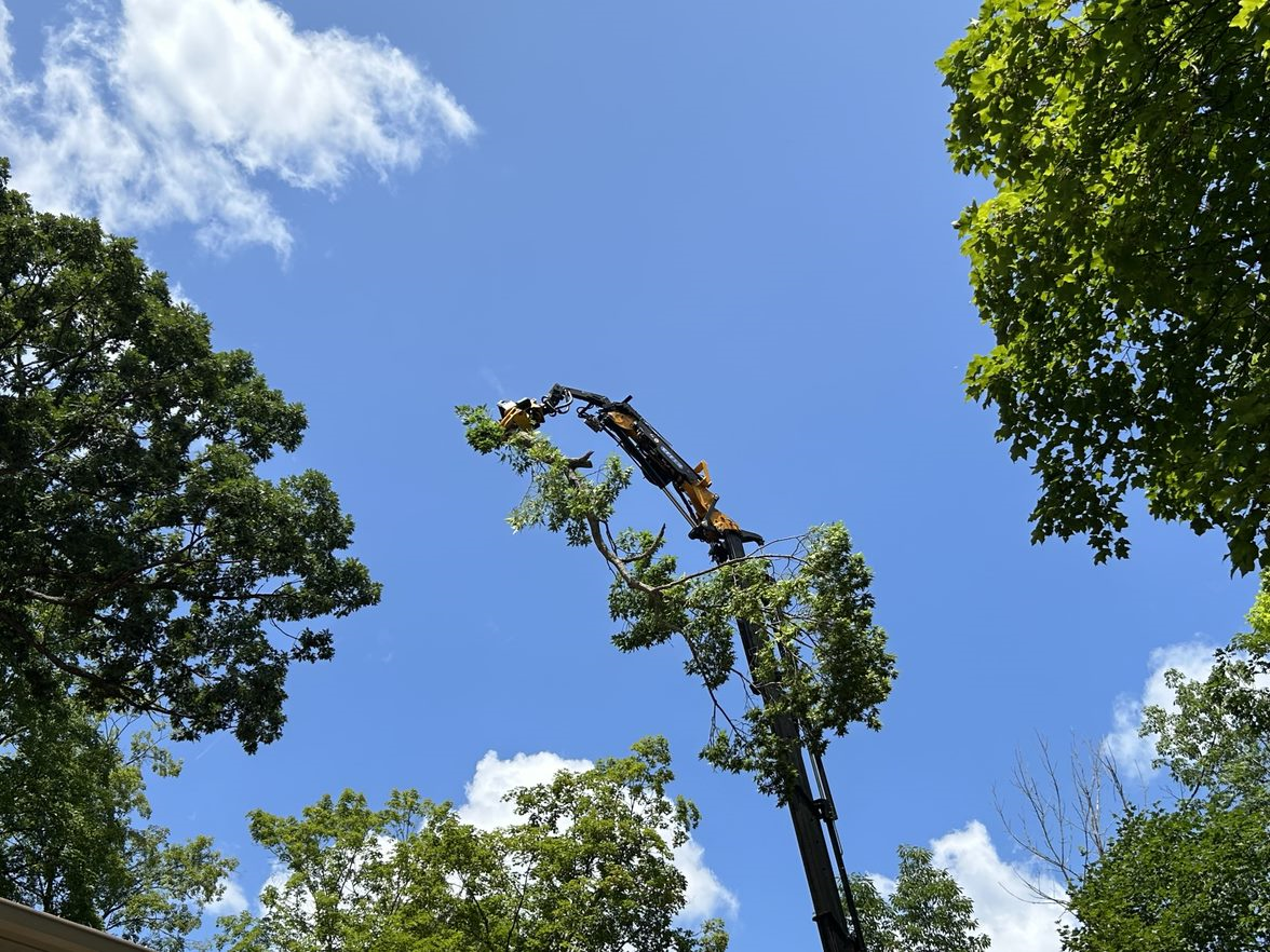 Kohler, WI tree removal, land clearing & utility line clearance